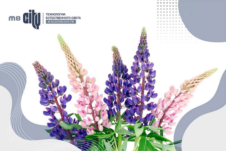 С Междунарожным женским днем!